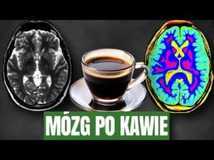Blog 23 iNGaknQCKbsq7zpQZ2J9nL