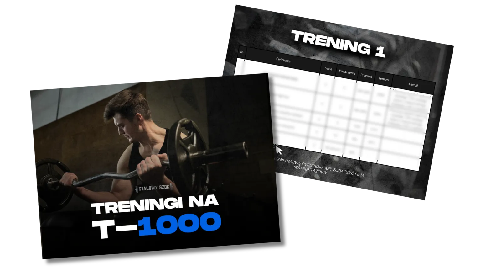🔥 Kurs Protokół T-1000 43 Projekt bez nazwy306