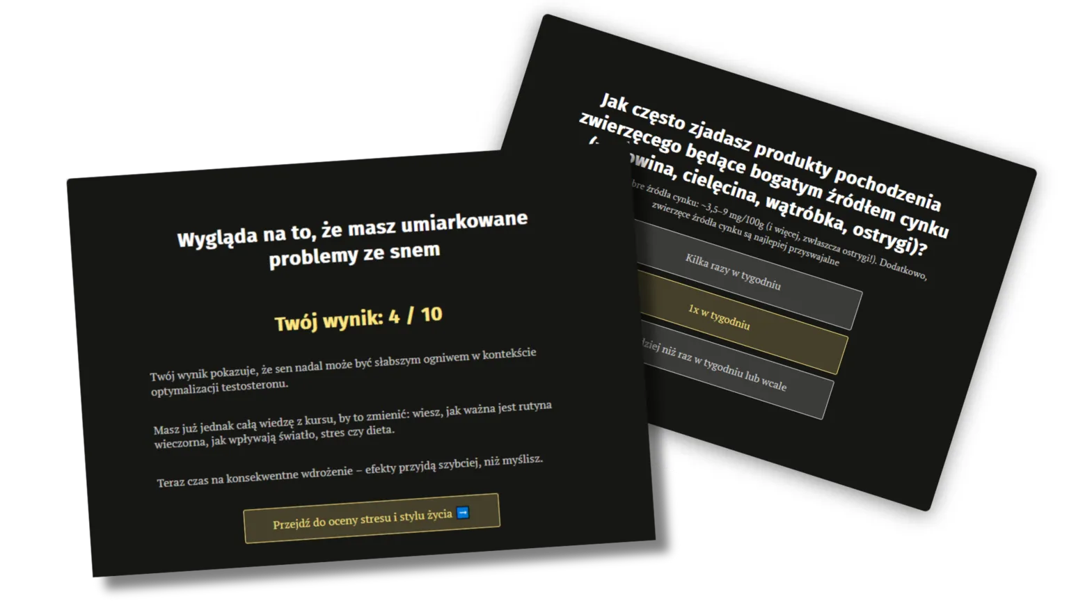 🔥 Kurs Protokół T-1000 40 Projekt bez nazwy311